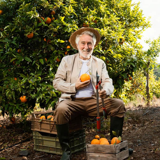 miguel gomes